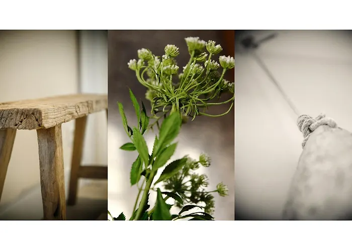 Litzkow 13907 Semesterbostad *